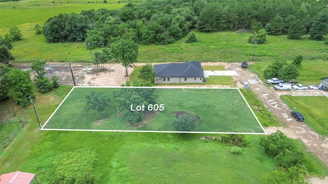 605 Lily St, Waller, TX 77484