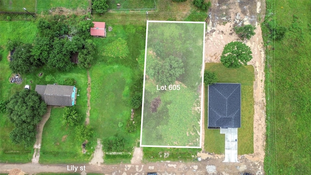 605 Lily St, Waller, TX 77484