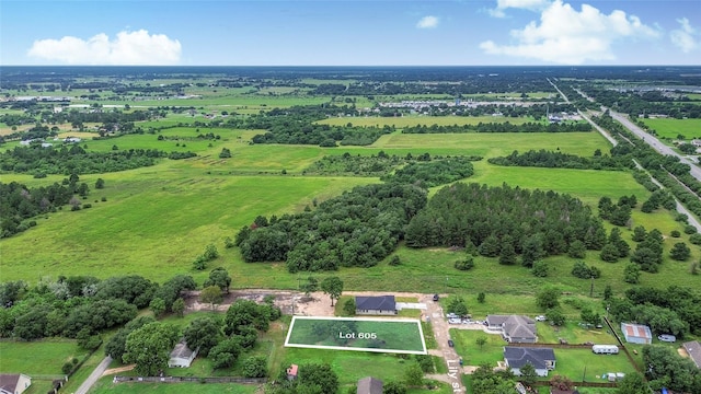 605 Lily St, Waller, TX 77484