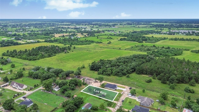 605 Lily St, Waller, TX 77484