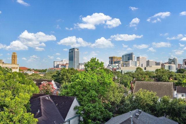 1723 Sunset Blvd, Houston, TX 77005 - photo 40