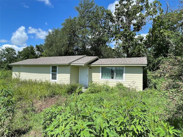 3707 12th St, Brookshire, TX 77423 - ranch-style house with roof with shingles