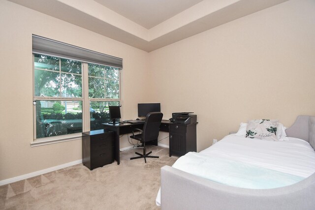 7 Cinque Terre Dr, Missouri City, TX 77459 - photo 37