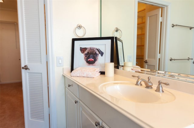 5346 Mcculloch Cir, Houston, TX 77056 - bathroom with vanity and a closet