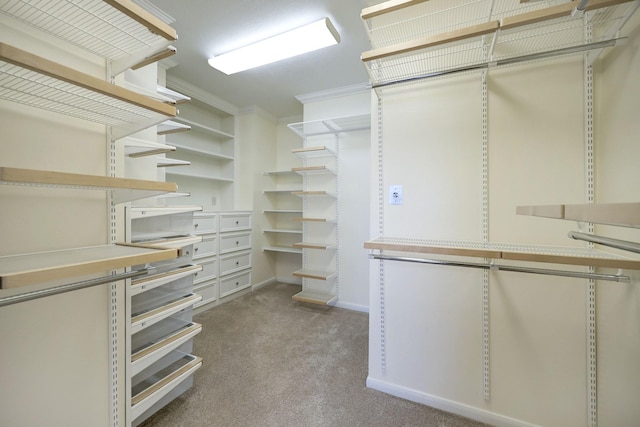 5346 Mcculloch Cir, Houston, TX 77056 - walk in closet with carpet