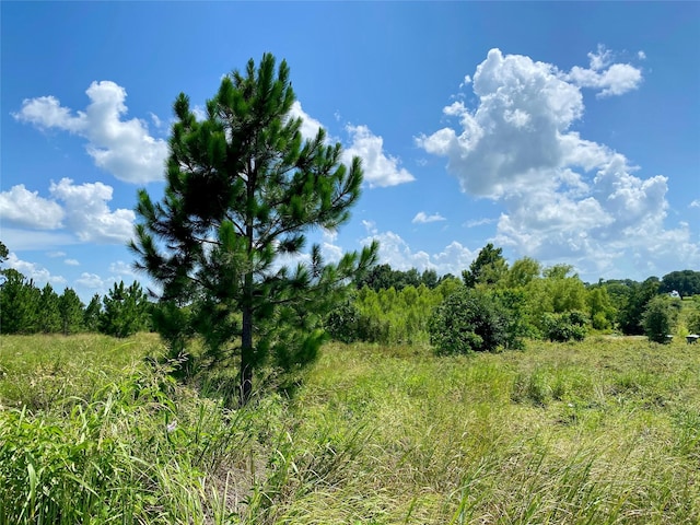 0 Fm-2621, Brenham, TX 77833