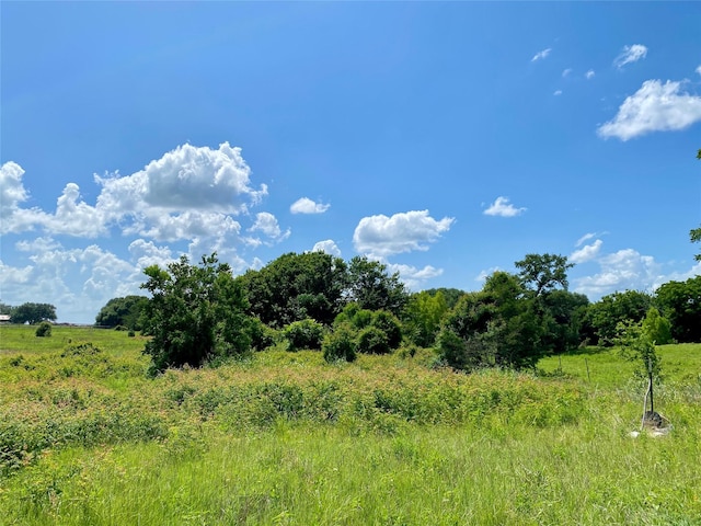 0 Fm-2621, Brenham, TX 77833