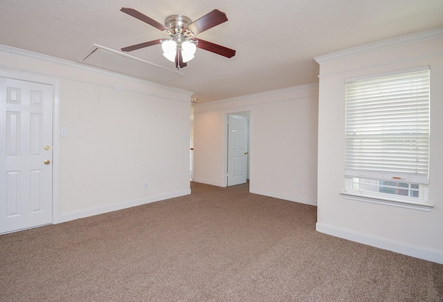 16407 N Eldridge Pkwy Unit C, Tomball, TX 77377 - photo 36