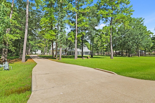 28632 Beth Marie, Magnolia, TX 77355 - view of property's community featuring a lawn
