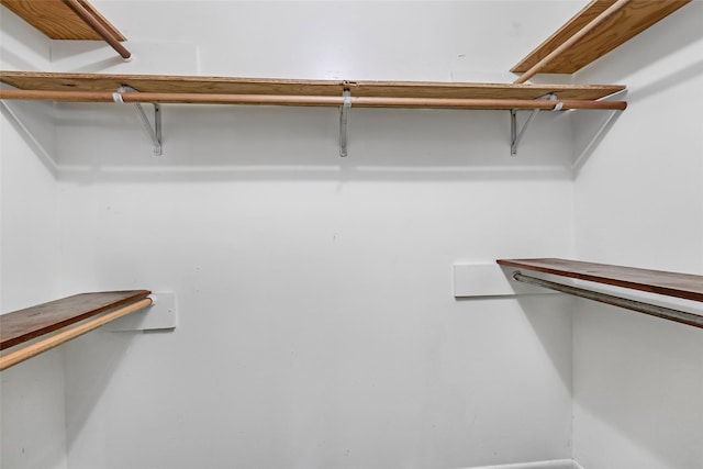 1015 Stevens Ave, Conroe, TX 77301 - view of spacious closet