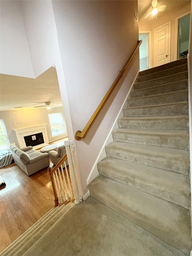 4830 Plantation Colony Dr, Sugar Land, TX 77478 - photo 21