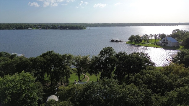 11391 Lakeshore Dr, Thornton, TX 76687 - water view