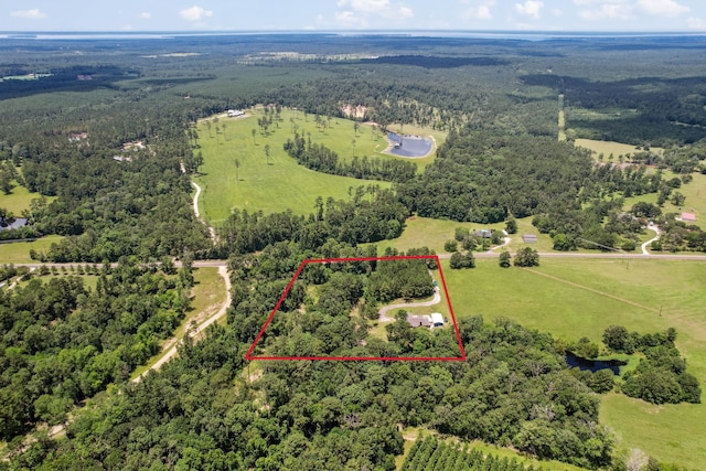 4920 Fm 350 N, Livingston, TX 77351 - view of rural area featuring a heavily wooded area and property parcel outlined