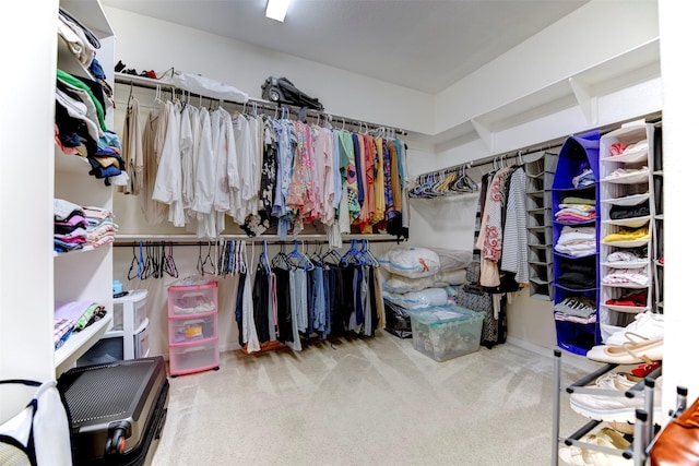 5002 Sawmill Terrace Ln, Spring, TX 77389 - spacious closet featuring carpet flooring
