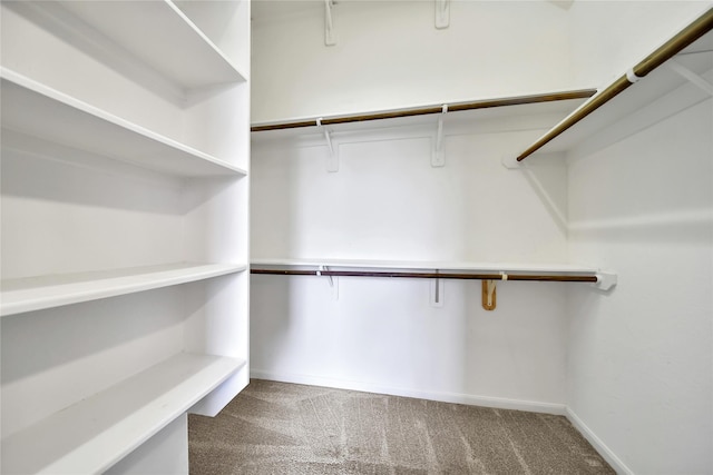 208 Harbor Bend Ln, Dickinson, TX 77539 - walk in closet with carpet flooring