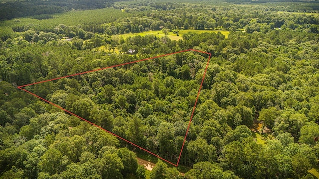 279 Magnolia Wood Dr, Livingston, TX 77351 - photo 1