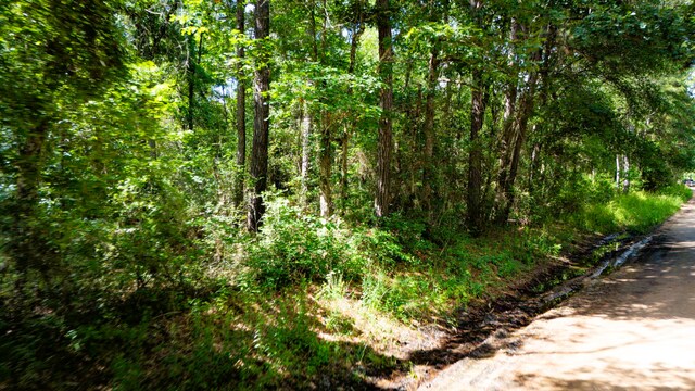 279 Magnolia Wood Dr, Livingston, TX 77351 - photo 3