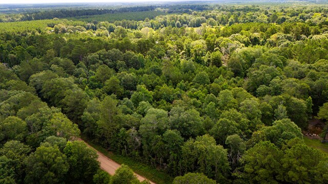 279 Magnolia Wood Dr, Livingston, TX 77351 - photo 4
