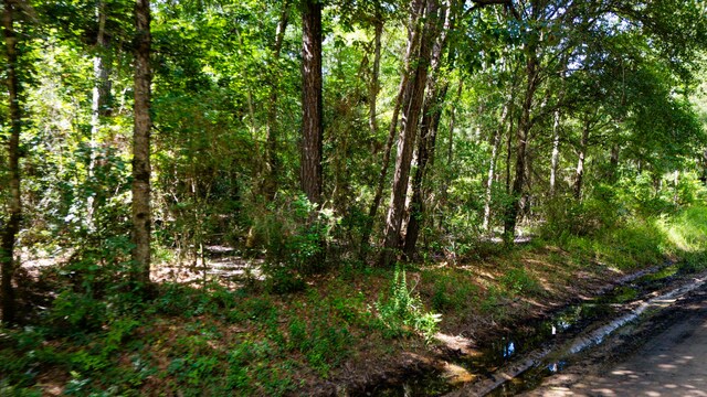279 Magnolia Wood Dr, Livingston, TX 77351 - photo 5