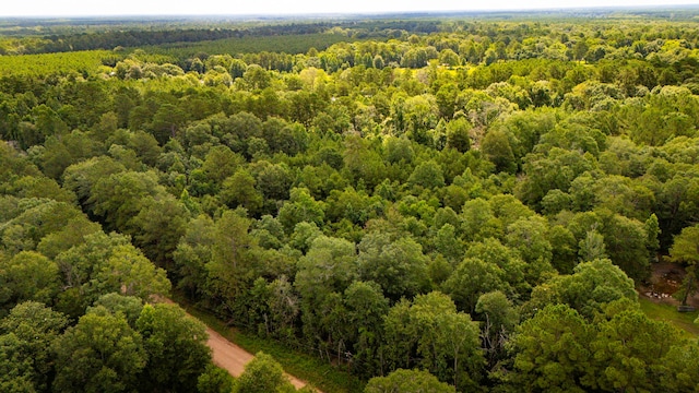279 Magnolia Wood Dr, Livingston, TX 77351 - photo 6