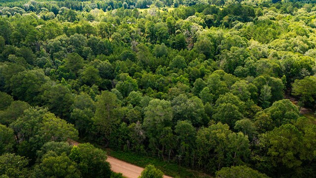 279 Magnolia Wood Dr, Livingston, TX 77351 - photo 7
