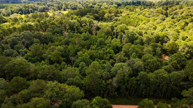 279 Magnolia Wood Dr, Livingston, TX 77351 - photo 8