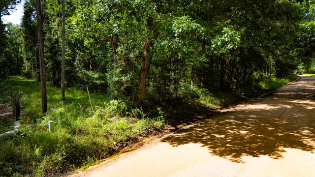 279 Magnolia Wood Dr, Livingston, TX 77351 - photo 10