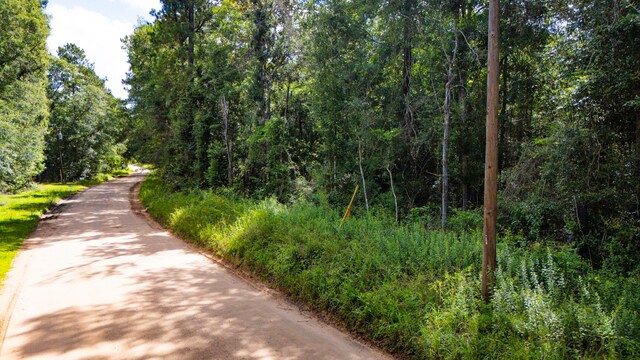 279 Magnolia Wood Dr, Livingston, TX 77351 - photo 13