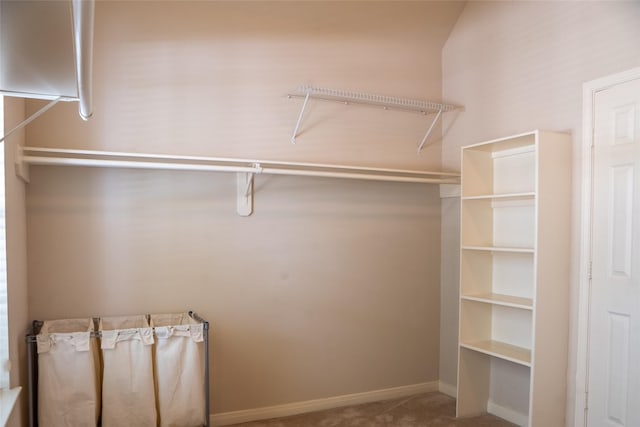8855 Distant Woods Dr, Houston, TX 77095 - walk in closet featuring carpet flooring