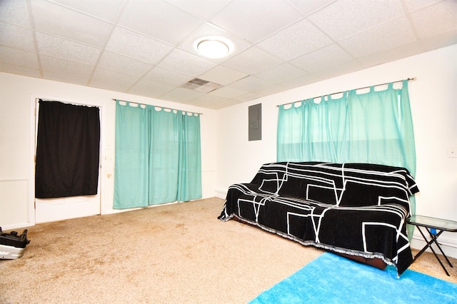 2019 N Thompson St, Conroe, TX 77301 - carpeted cinema room with electric panel and a paneled ceiling