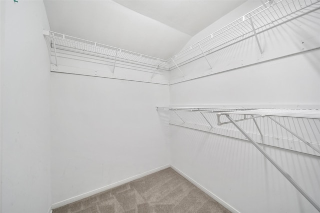 24193 Kelly St, Porter, TX 77365 - spacious closet with vaulted ceiling and carpet