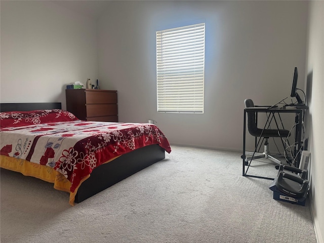 2944 Cordova Hill Dr, Katy, TX 77493 - view of carpeted bedroom