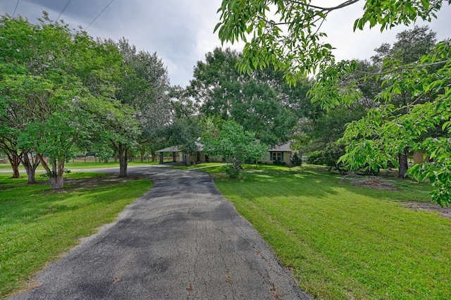 5425 Sandy Creek Ln, Brenham, TX 77833 - view of front of home with a front yard and driveway