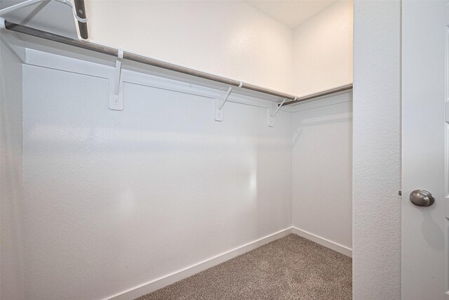 3822 Singing Coast Path, Houston, TX 77082 - photo 38
