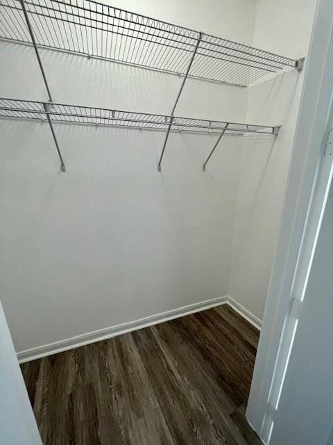 7575 Kirby Dr Unit 2314, Houston, TX 77030 - walk in closet featuring dark wood-style floors