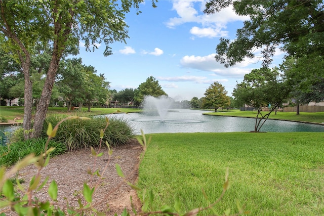 20811 S Amber Willow Trl, Cypress, TX 77433 - water view