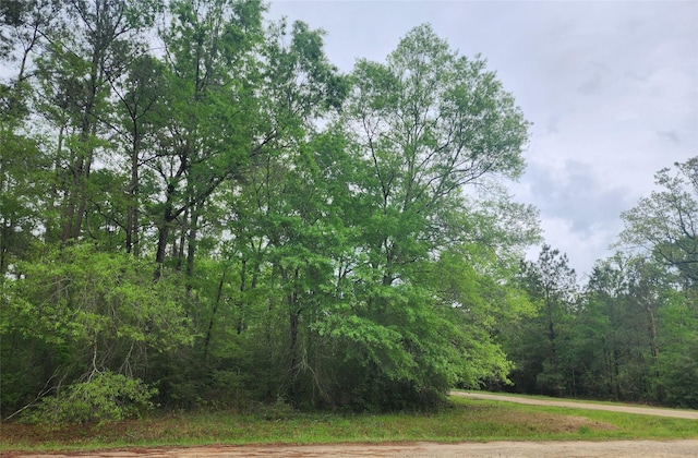 TBD Cloverdale, Livingston, TX 77351 - photo 1