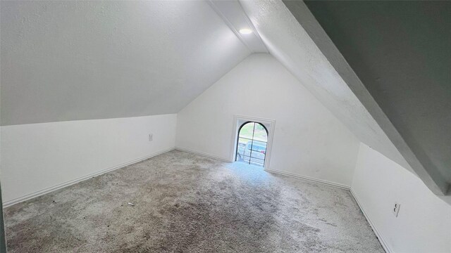 9711 Dill Canyon Ln, Katy, TX 77494 - additional living space with lofted ceiling, carpet, and a textured ceiling