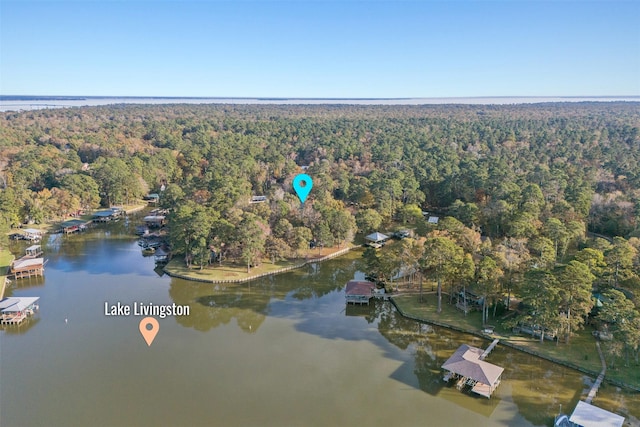 91 Willow St, Point Blank, TX 77364 - aerial view of property's location with a forest and a large body of water