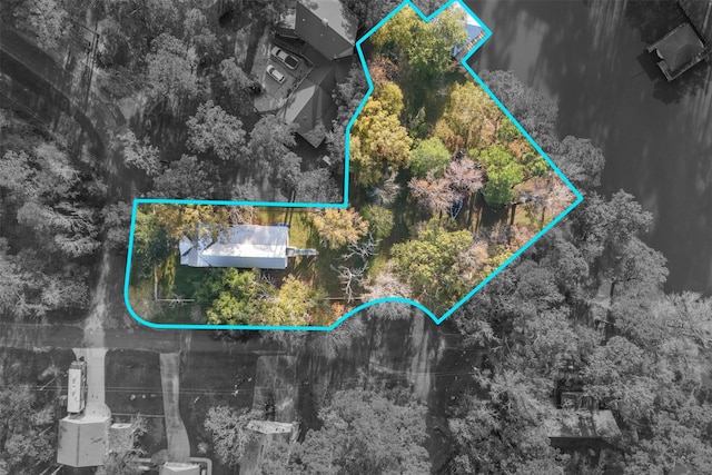 91 Willow St, Point Blank, TX 77364 - aerial view of property and surrounding area featuring property boundaries highlighted