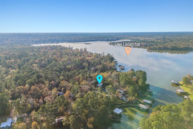 91 Willow St, Point Blank, TX 77364 - aerial view of property and surrounding area featuring a forest and a large body of water