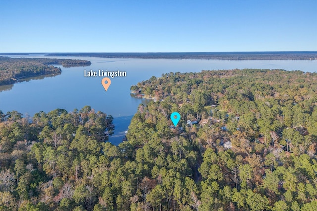 91 Willow St, Point Blank, TX 77364 - aerial overview of property's location featuring a nearby body of water
