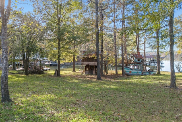 91 Willow St, Point Blank, TX 77364 - view of green lawn