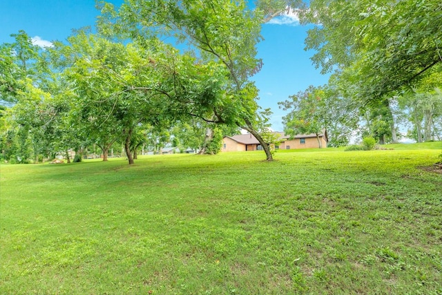 401 Pecan Estates Rd, Angleton, TX 77515 - photo 15