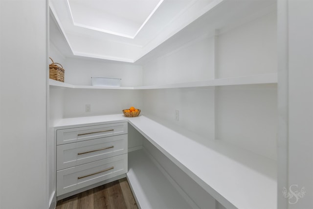 27706 Lakeway Trail Ln, Fulshear, TX 77441 - view of pantry