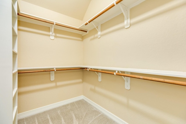 101 Brazos Ct, Richwood, TX 77531 - walk in closet with carpet
