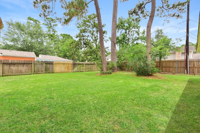 3735 Pineleaf Dr, Houston, TX 77068 - view of fenced backyard
