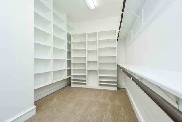 25518 Millbrook Bend Ln, Katy, TX 77494 - spacious closet featuring carpet flooring