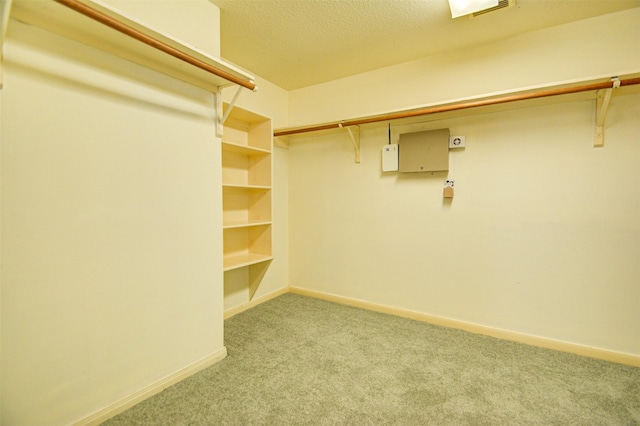11715 Orchard Mountain Dr, Pasadena, TX 77059 - walk in closet featuring carpet floors