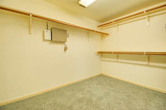11715 Orchard Mountain Dr, Pasadena, TX 77059 - walk in closet with carpet